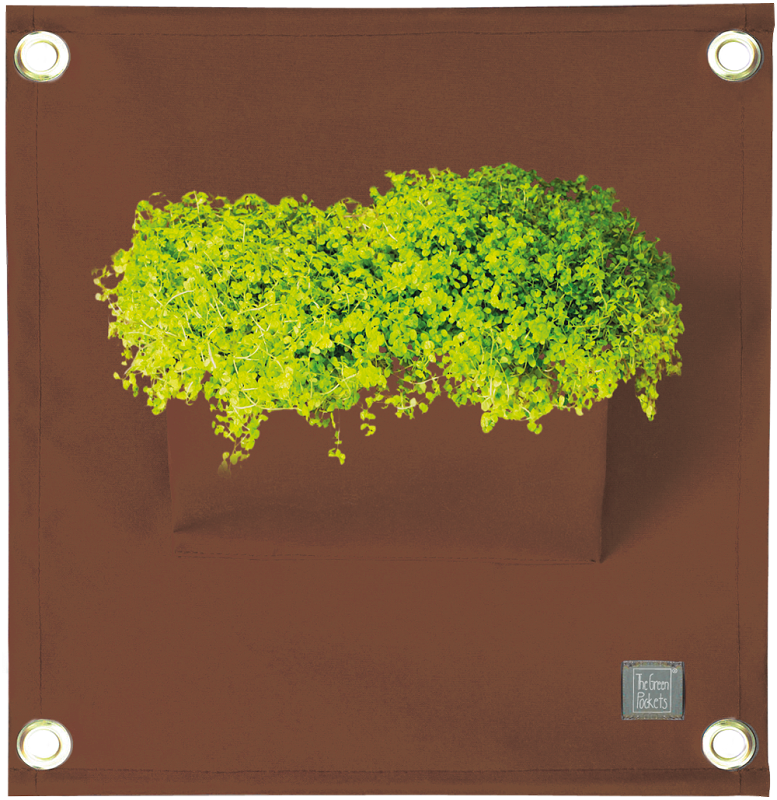 Verti-Grows - Plant Store