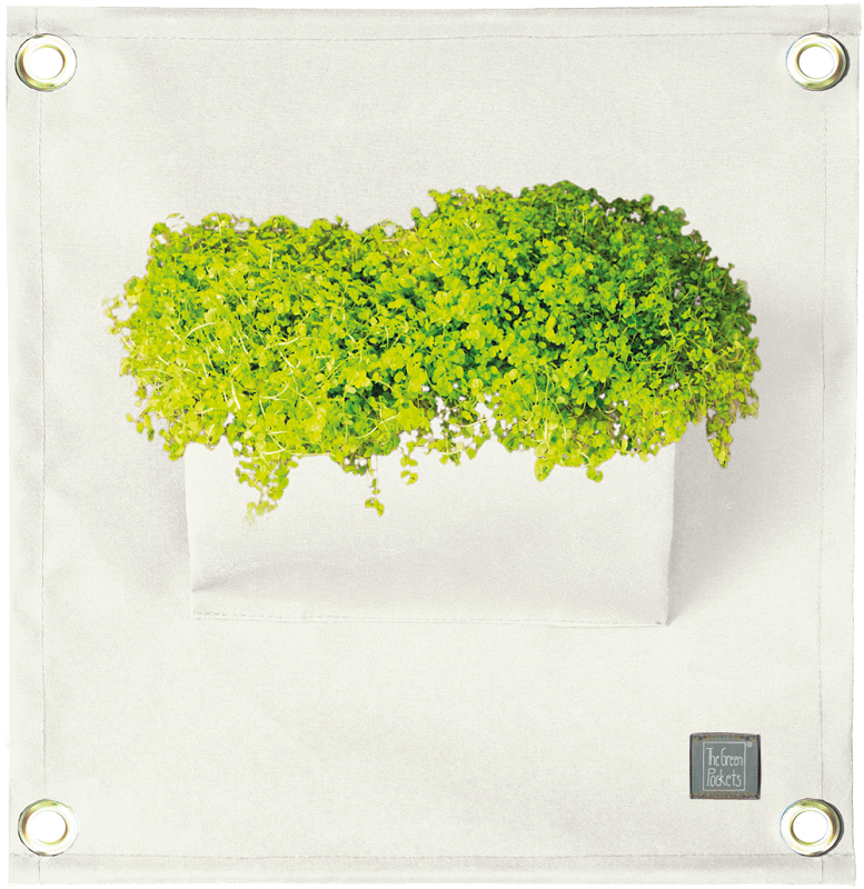 Verti-Grows - Plant Store