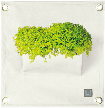 Verti-Grows - Plant Store
