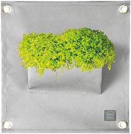 Verti-Grows - Plant Store