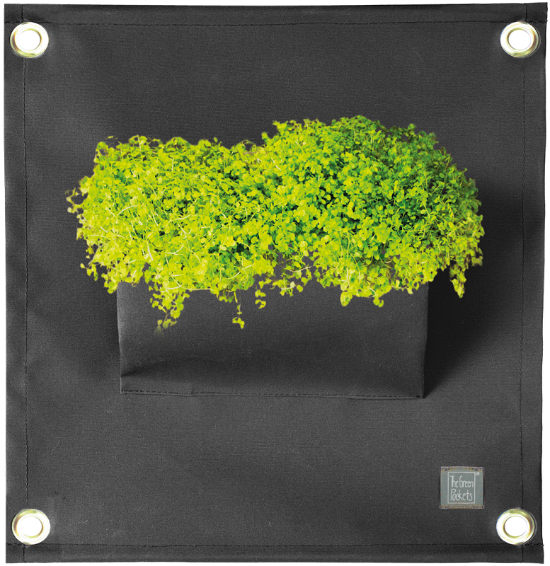 Verti-Grows - Plant Store