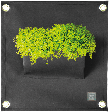 Verti-Grows - Plant Store