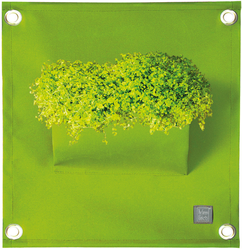 Verti-Grows - Plant Store