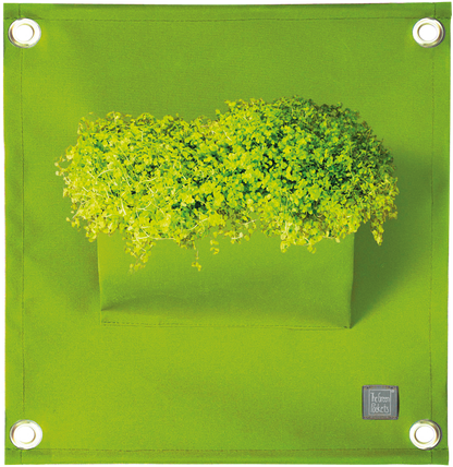 Verti-Grows - Plant Store