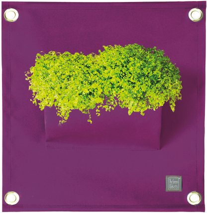 Verti-Grows - Plant Store