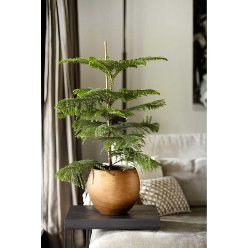 Capi Lux Retro - Vase Ball Gold