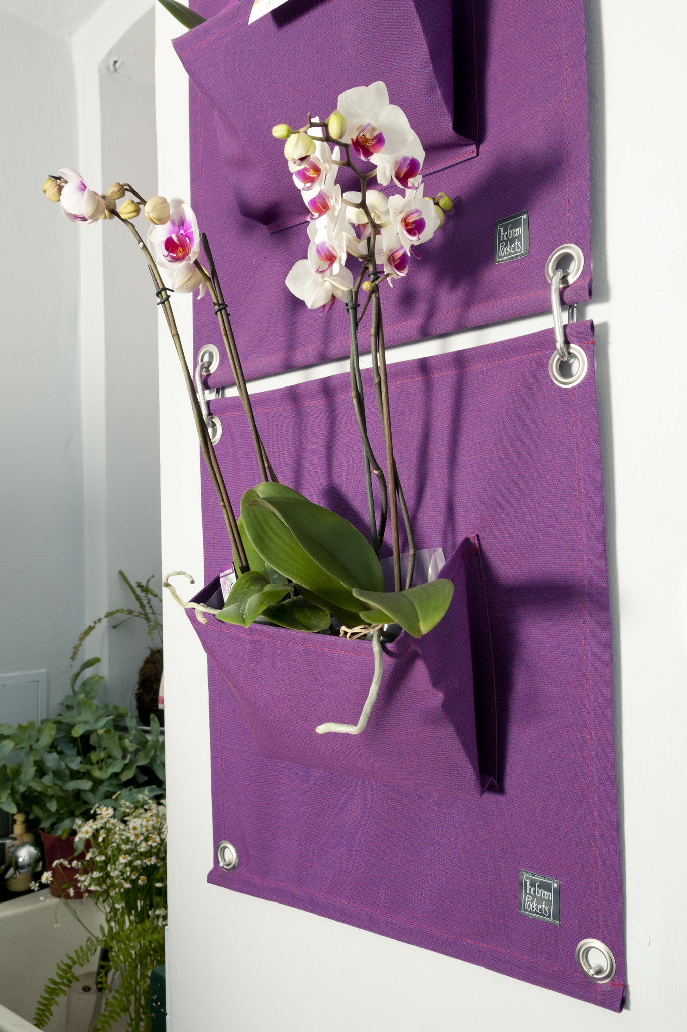Verti-Grows - Plant Store