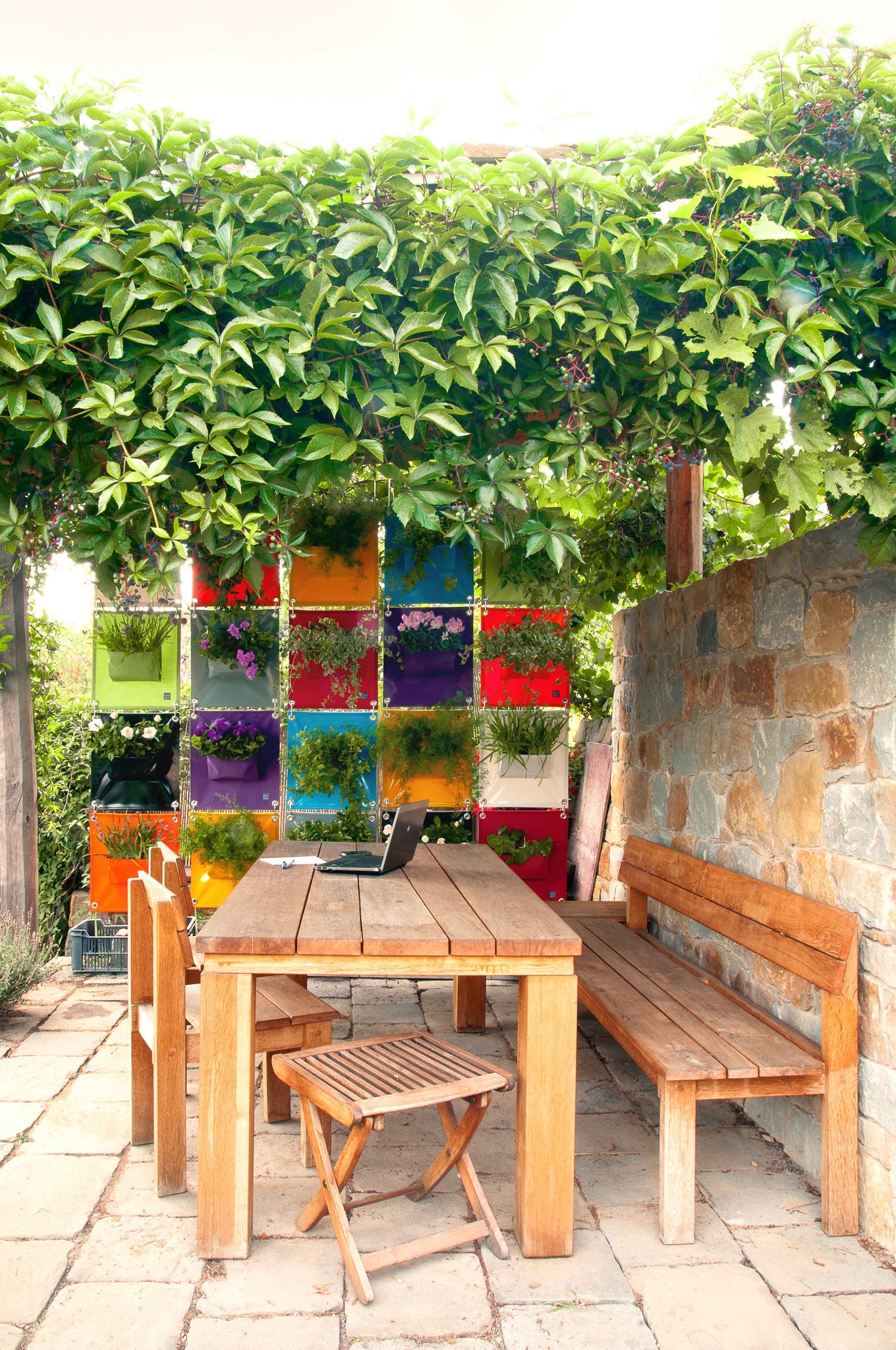 Verti-Grows - Plant Store