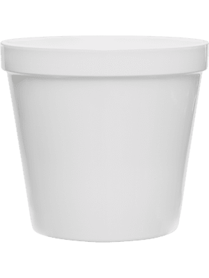 Feliz White Ceramic Pot - For Medium Plants