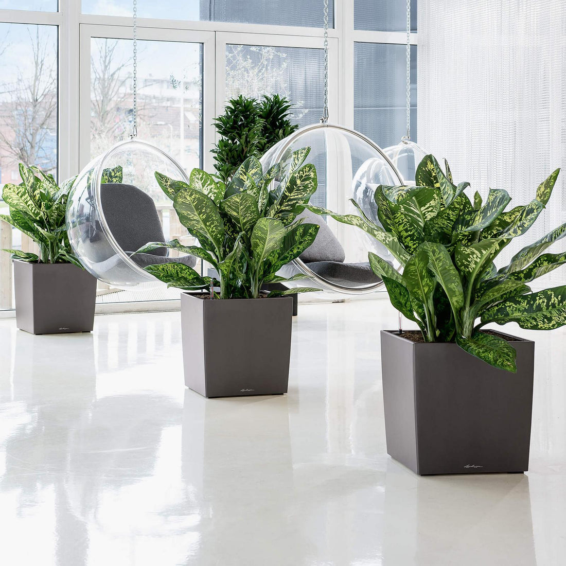 Lechuza Cube Plant Containers