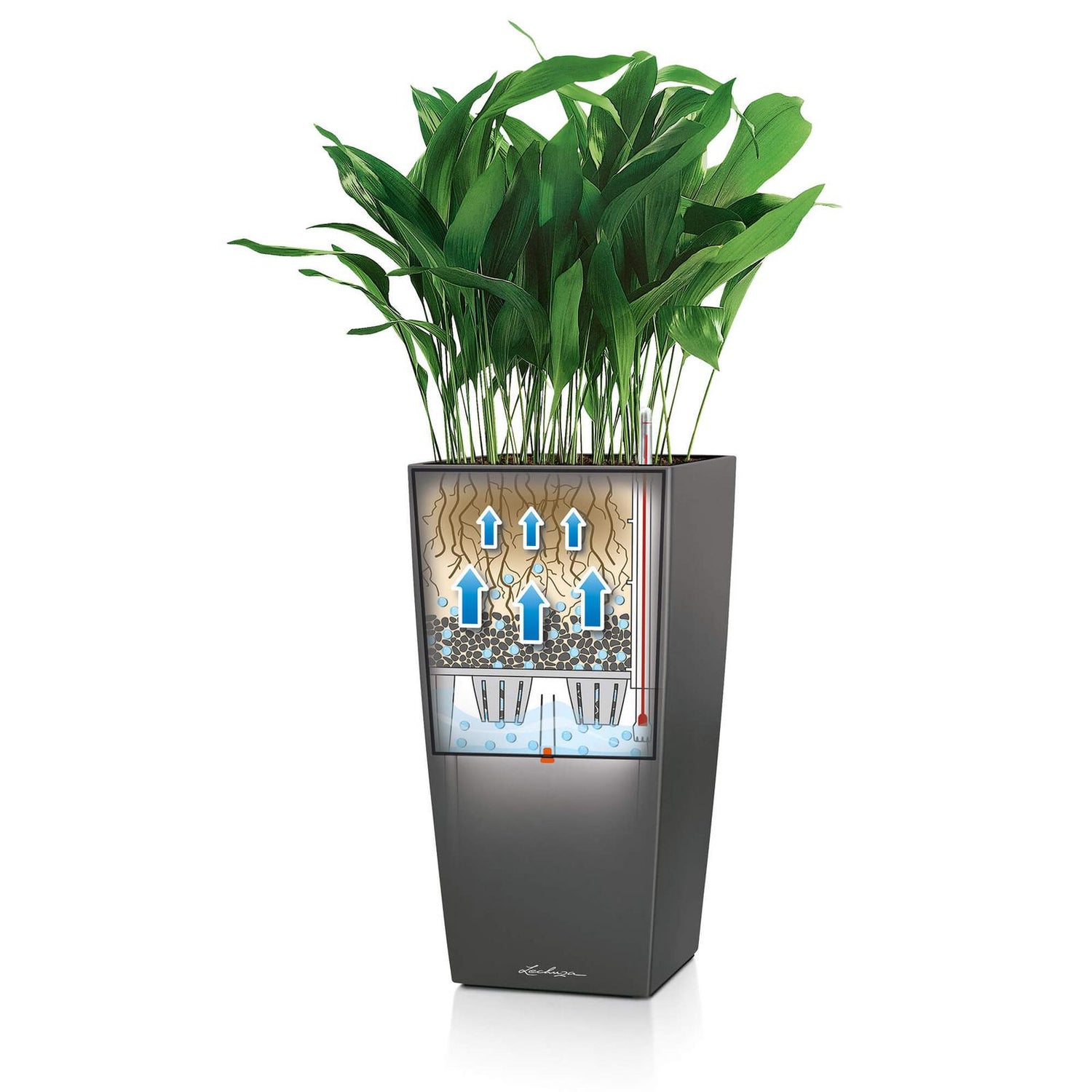 Lechuza Cubico Plant Containers