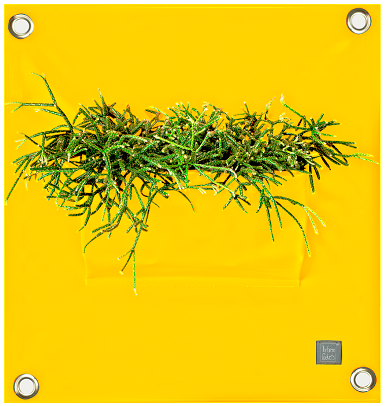 Verti-Grows - Plant Store