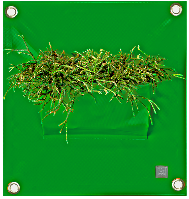 Verti-Grows - Plant Store