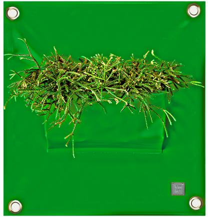 Verti-Grows - Plant Store