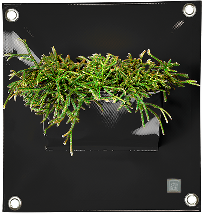 Verti-Grows - Plant Store
