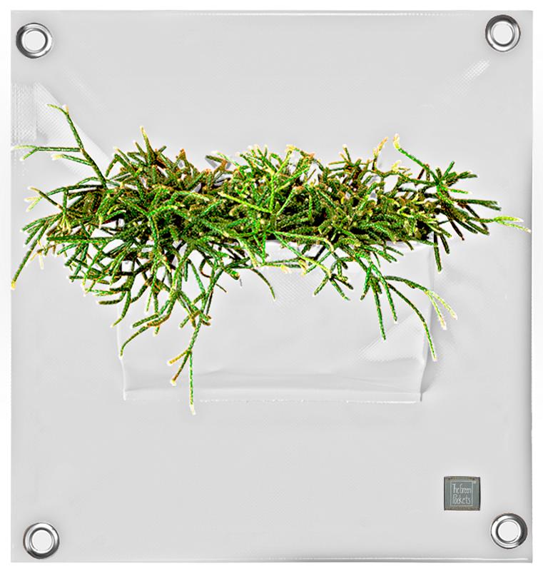 Verti-Grows - Plant Store