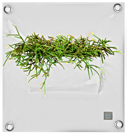 Verti-Grows - Plant Store