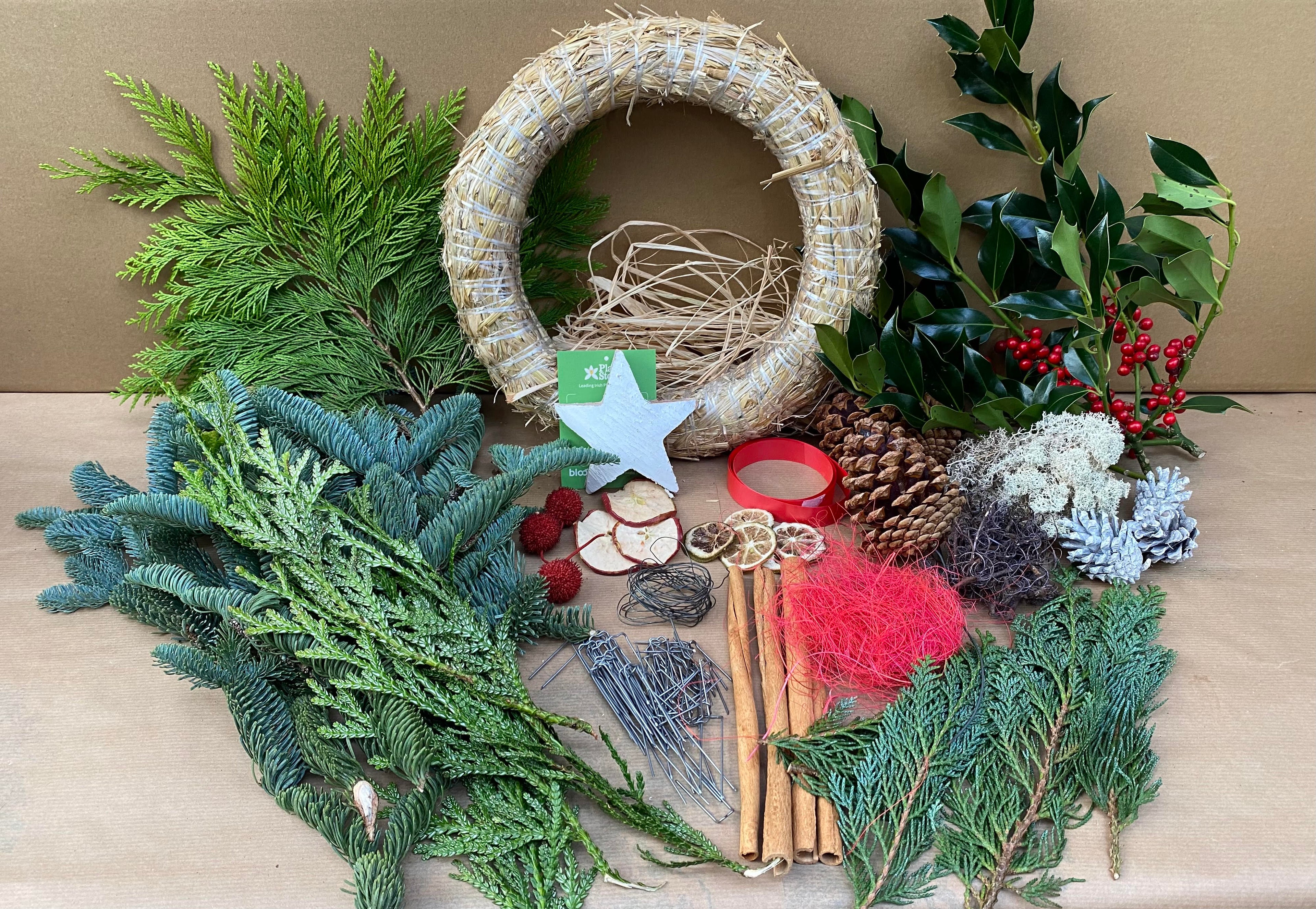DIY Deluxe Christmas Wreath Kit